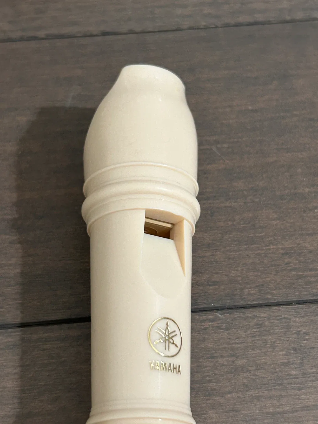 Yamaha Recorder image indicator(2)