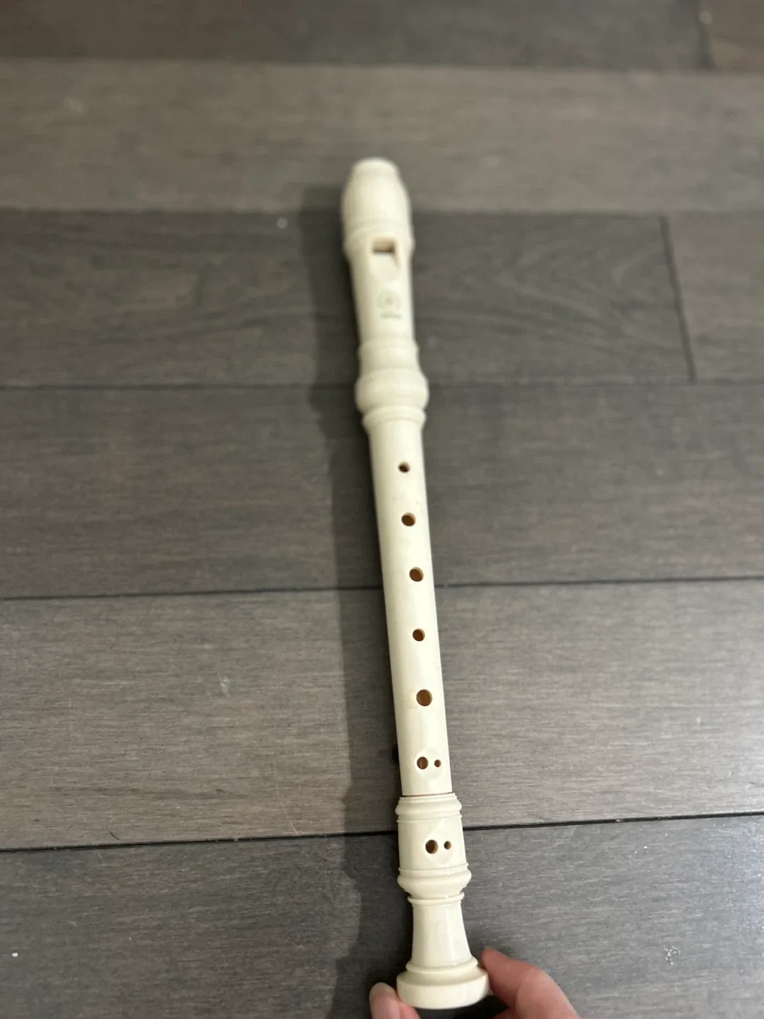 Yamaha Recorder image indicator(5)