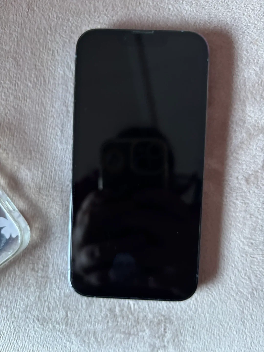 iPhone 13 Pro image indicator(3)