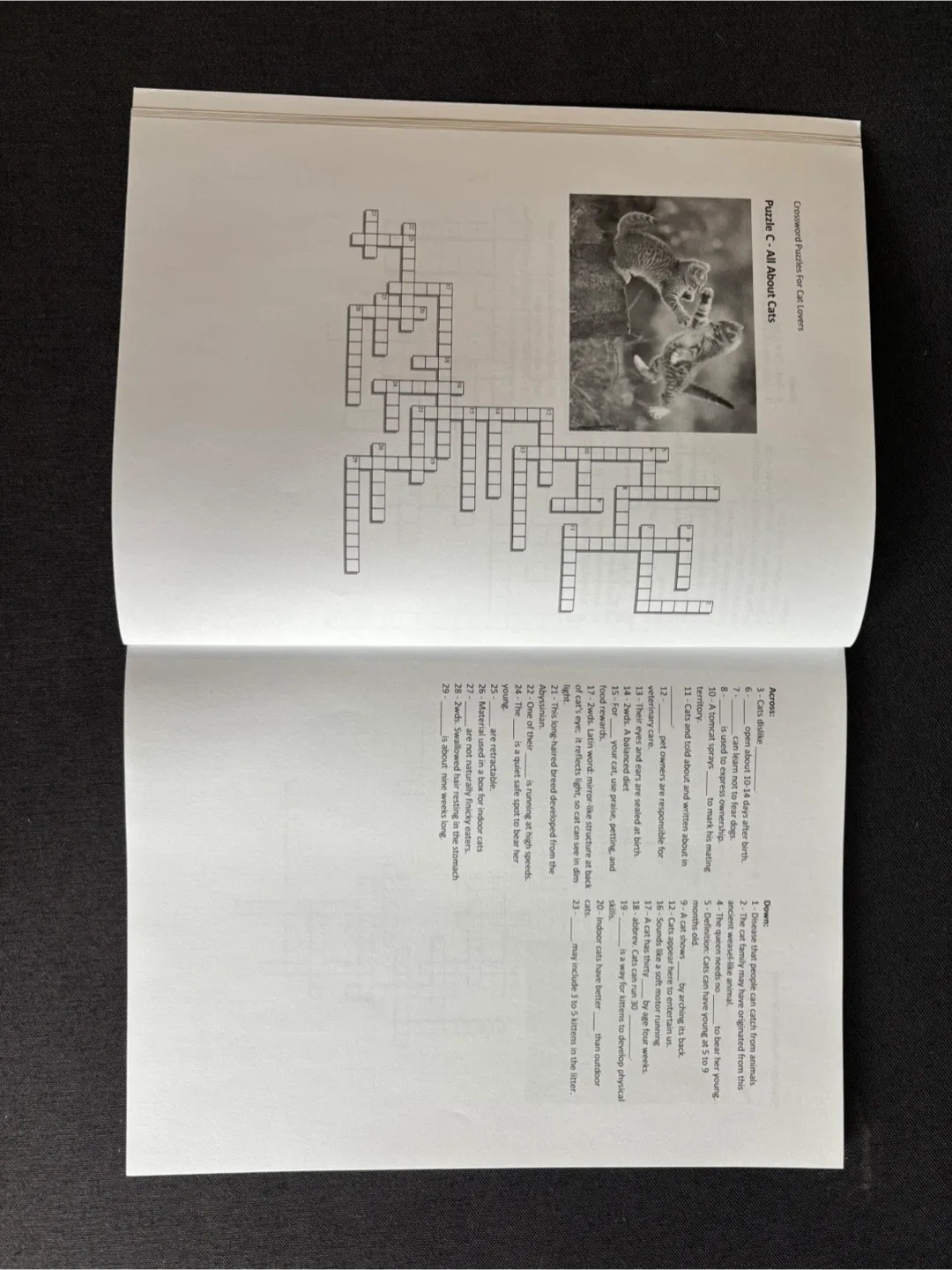 New Crossword Puzzles for Cat Lovers A to Z image indicator(3)