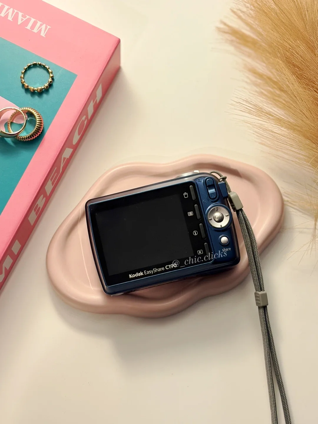 Kodak EasyShare C190 Digital Camera image indicator(2)