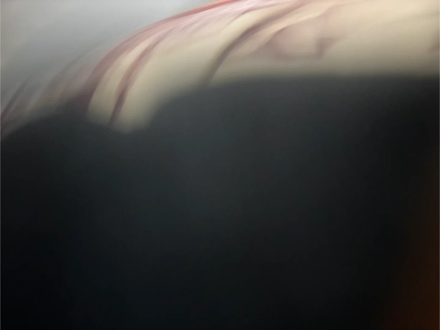 Palm Angels MONOGRAM SPRAY CITY T-SHIRT LOS image indicator(4)