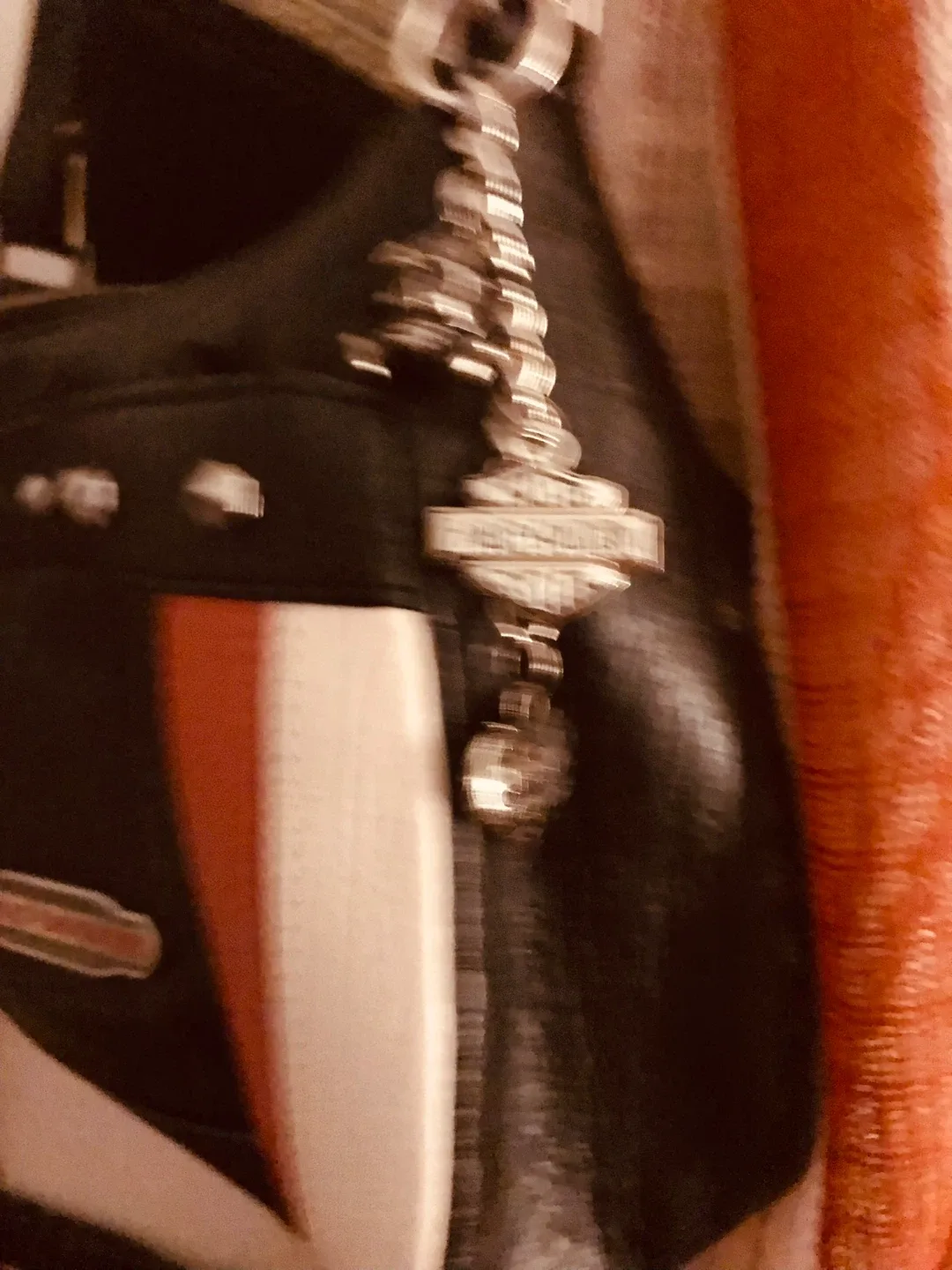 Harley-Davidson Black Leather Shoulder Bag image indicator(7)