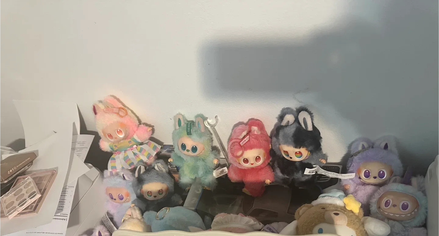 Labubu image indicator(3)