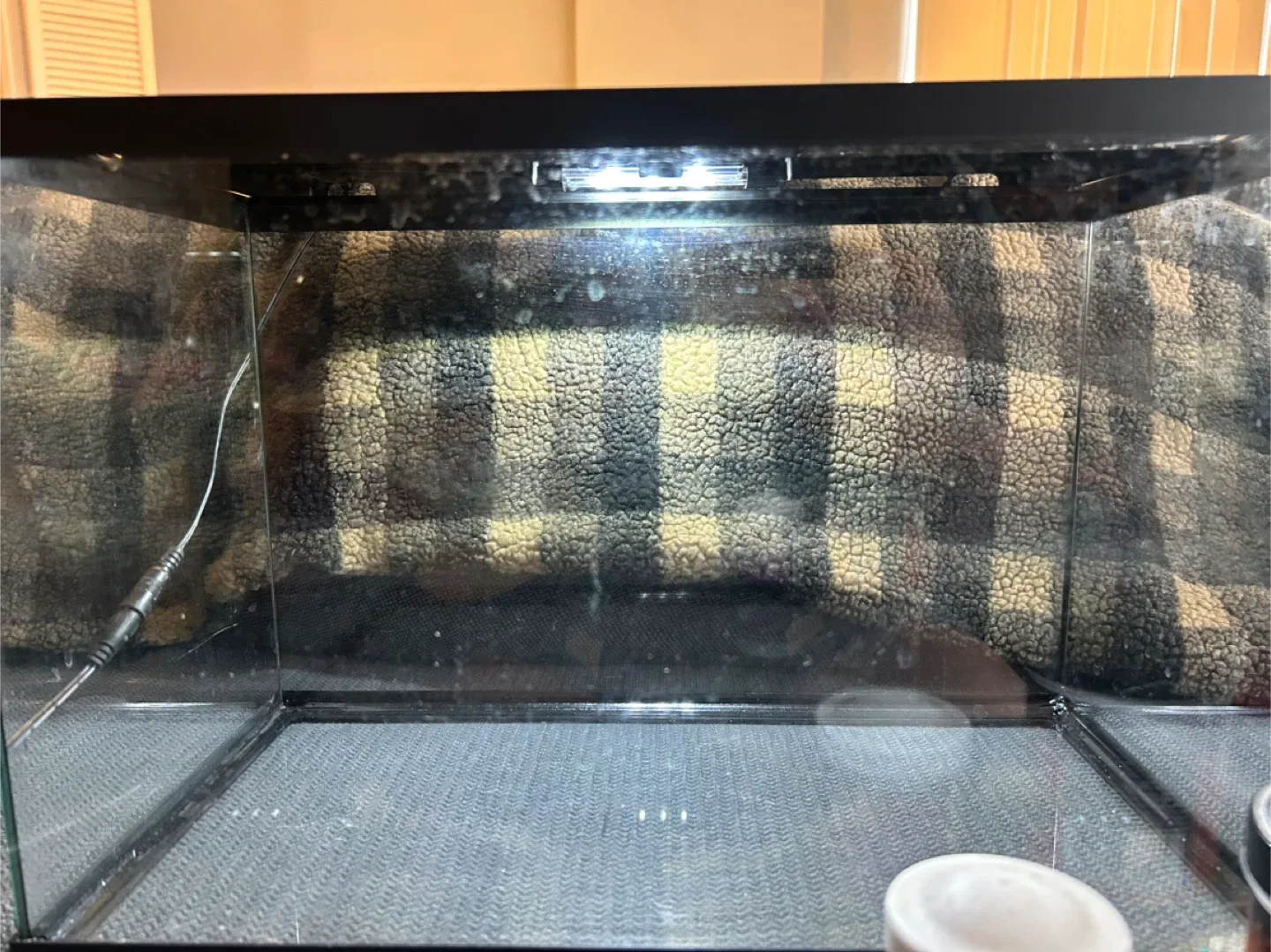 5 gallon Fish Tank with Accessories image indicator(7)