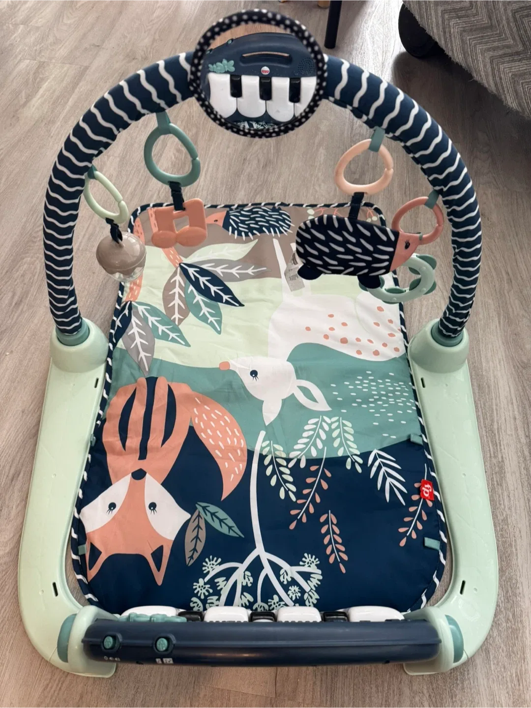 Fisher-Price Kick & Play Piano Gym image indicator(2)