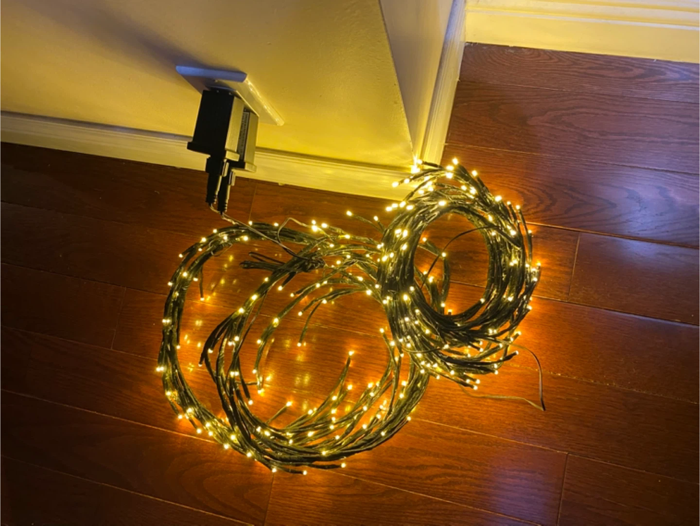 Curly String Lights - photo 3
