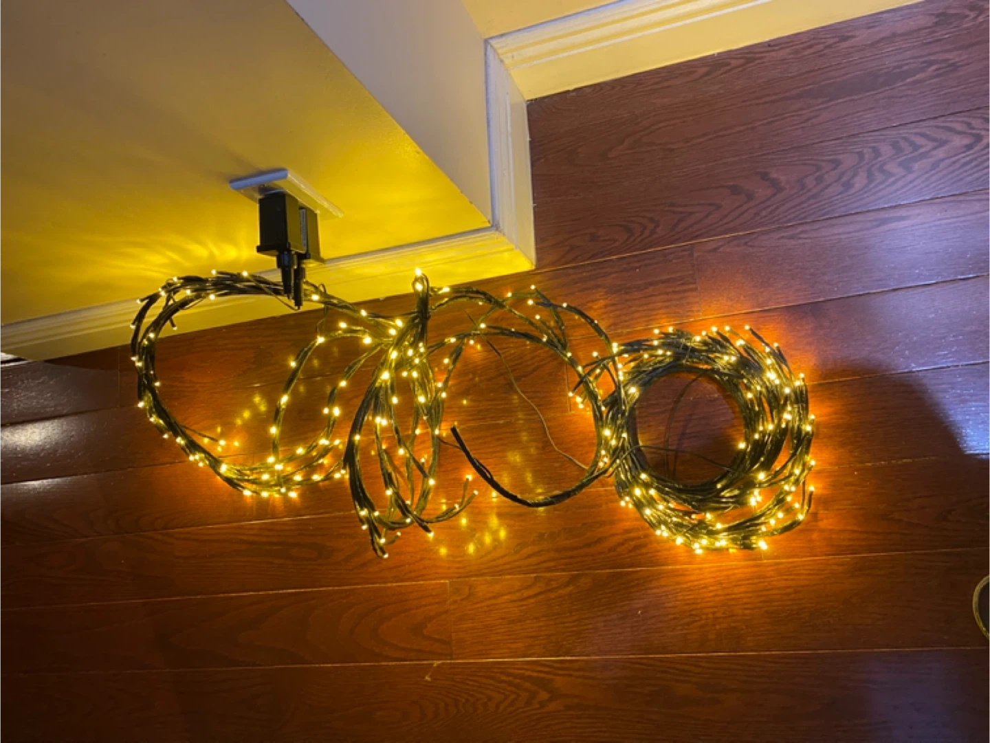 Curly String Lights - photo 4