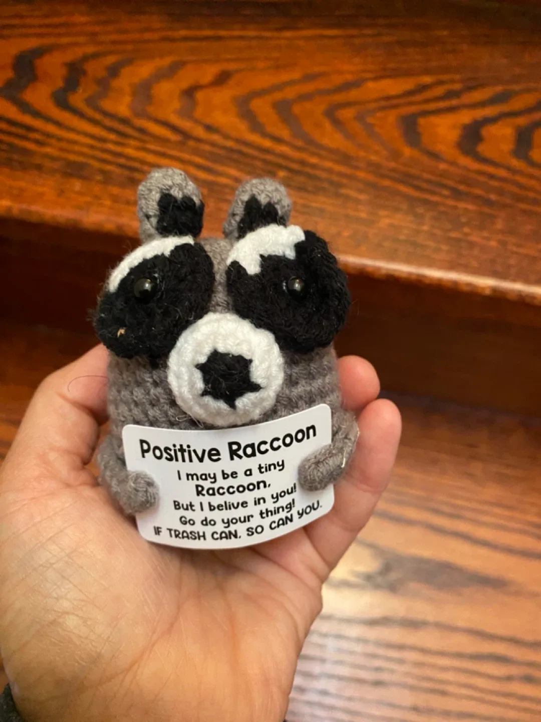 Crocheted Positive Raccoon Plush image indicator(4)