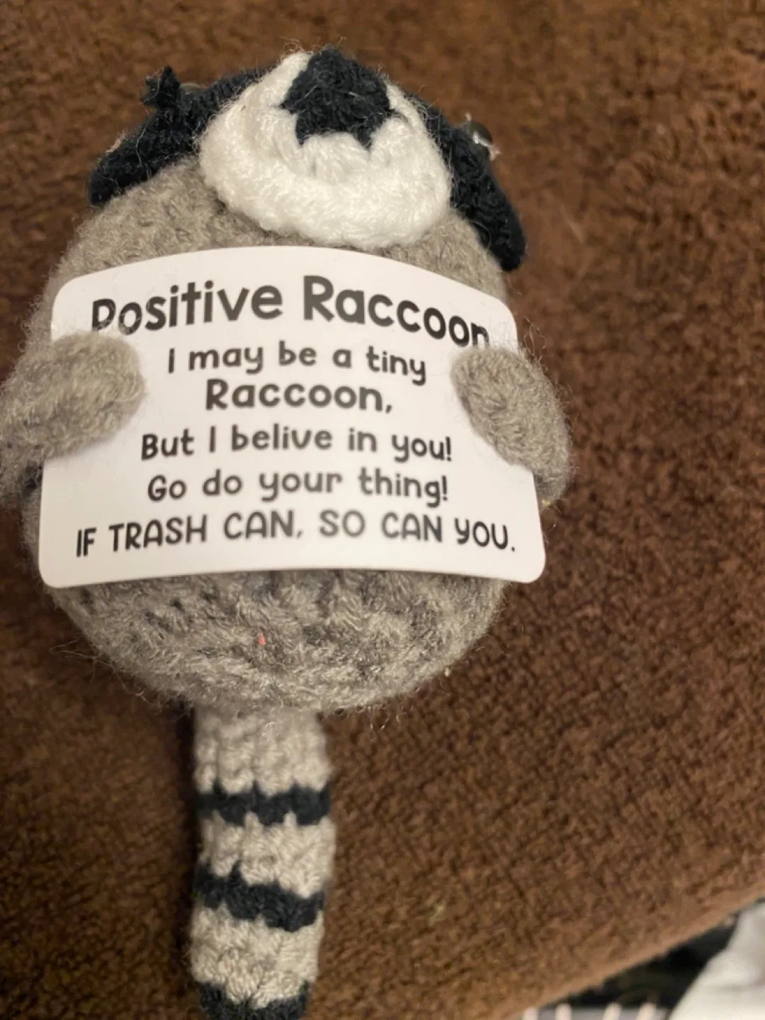 Crocheted Positive Raccoon Plush