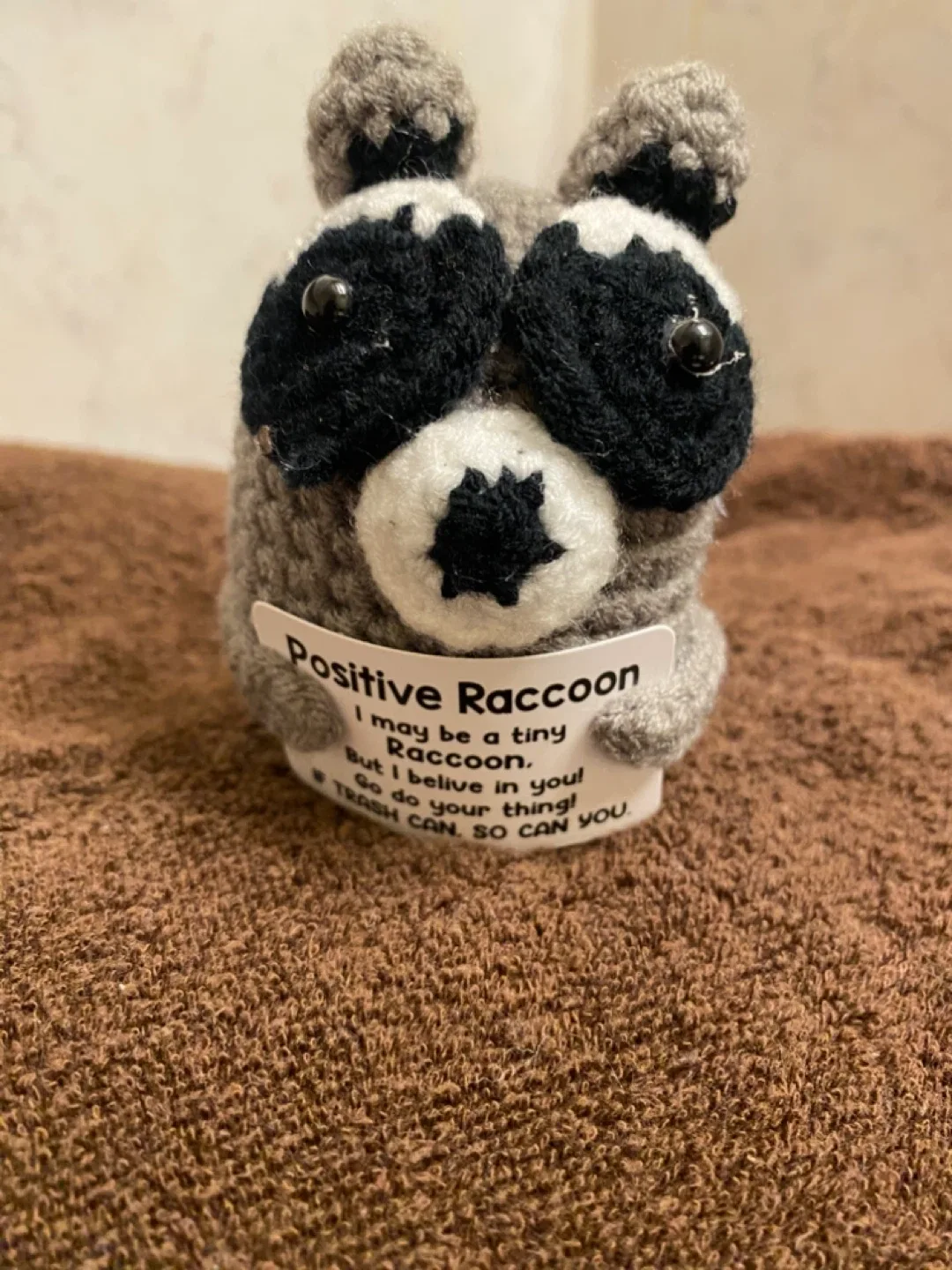 Crocheted Positive Raccoon Plush image indicator(2)