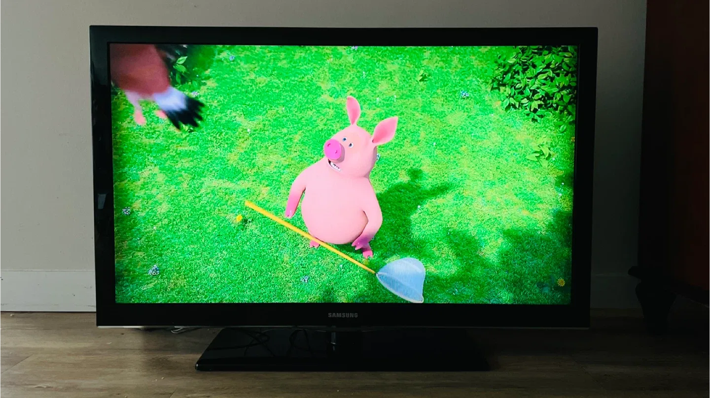 Samsung LCD TV image indicator(2)