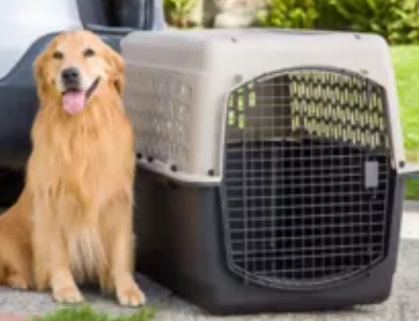 Portable Dog Carrier image indicator(3)