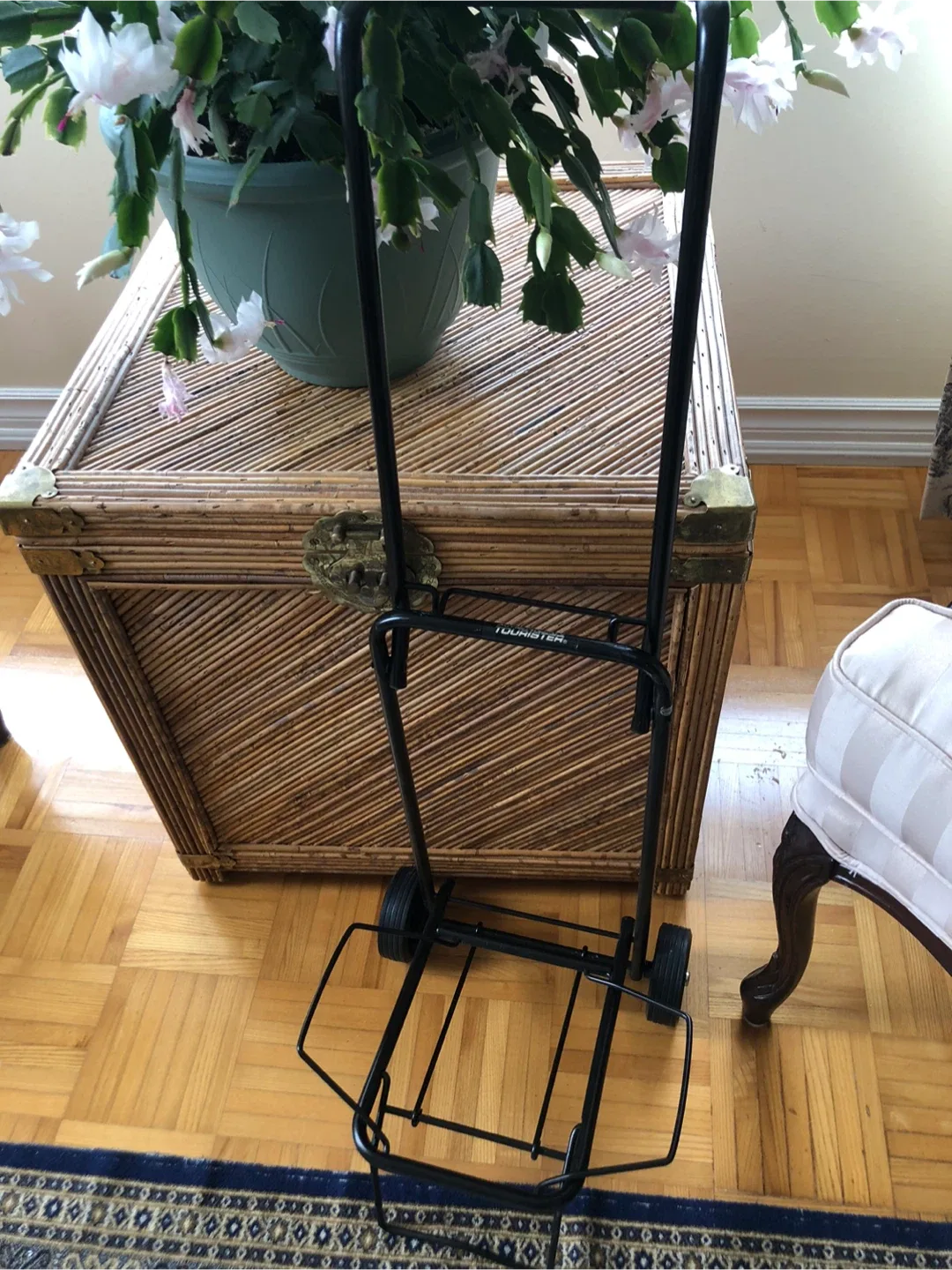 Folding Luggage Cart