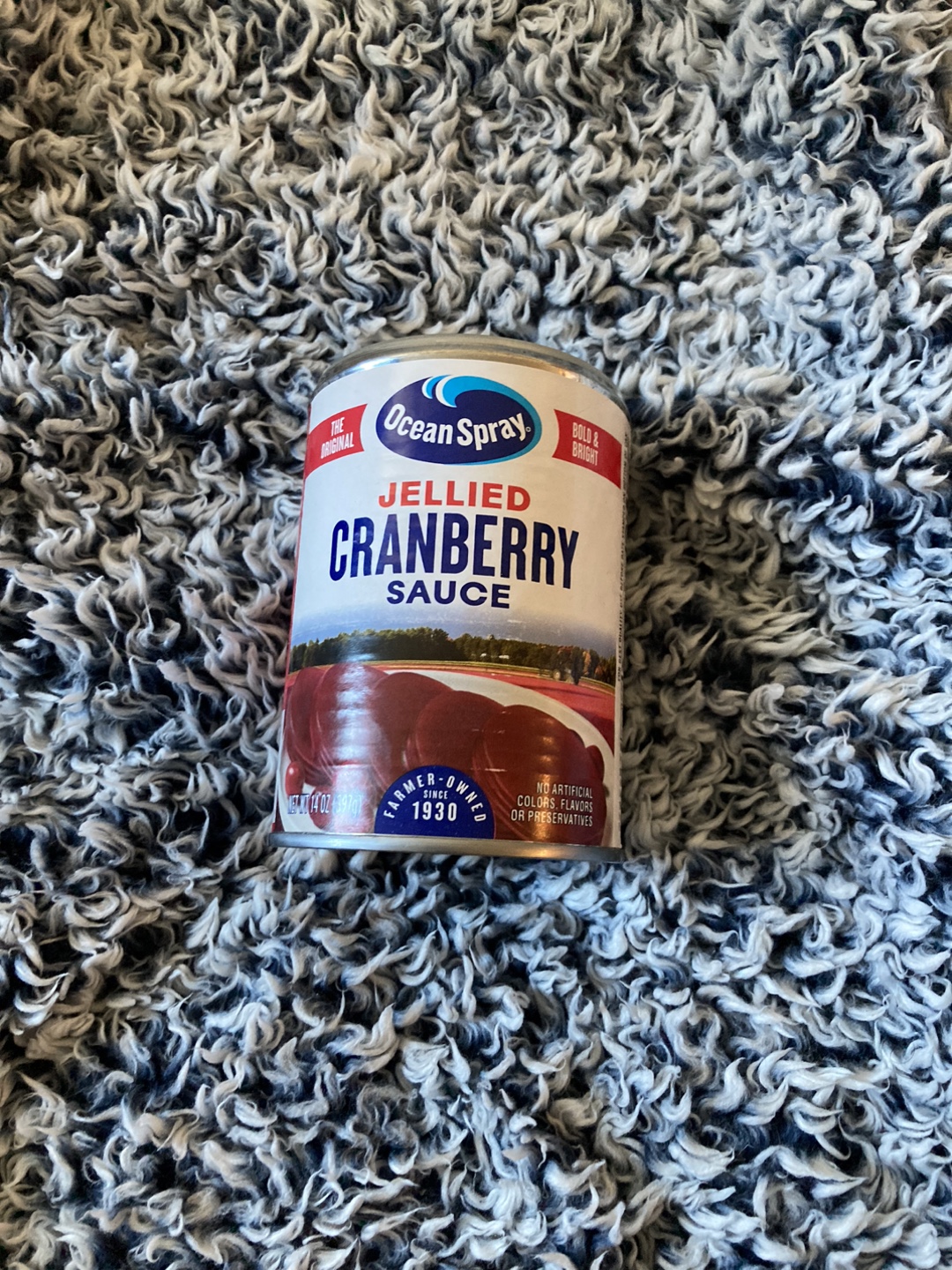 Ocean Spray Jellied Cranberry Sauce