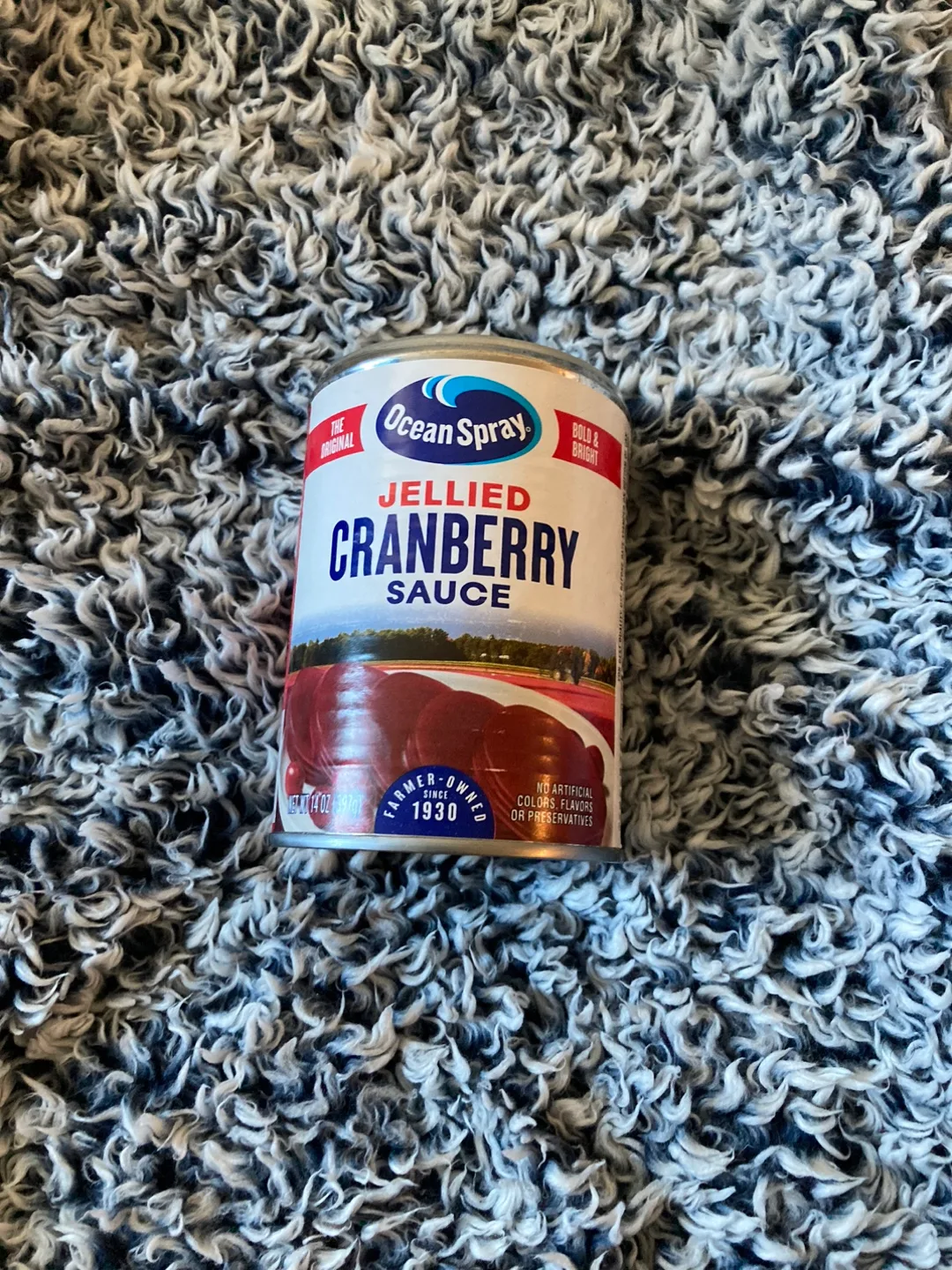 Ocean Spray Jellied Cranberry Sauce