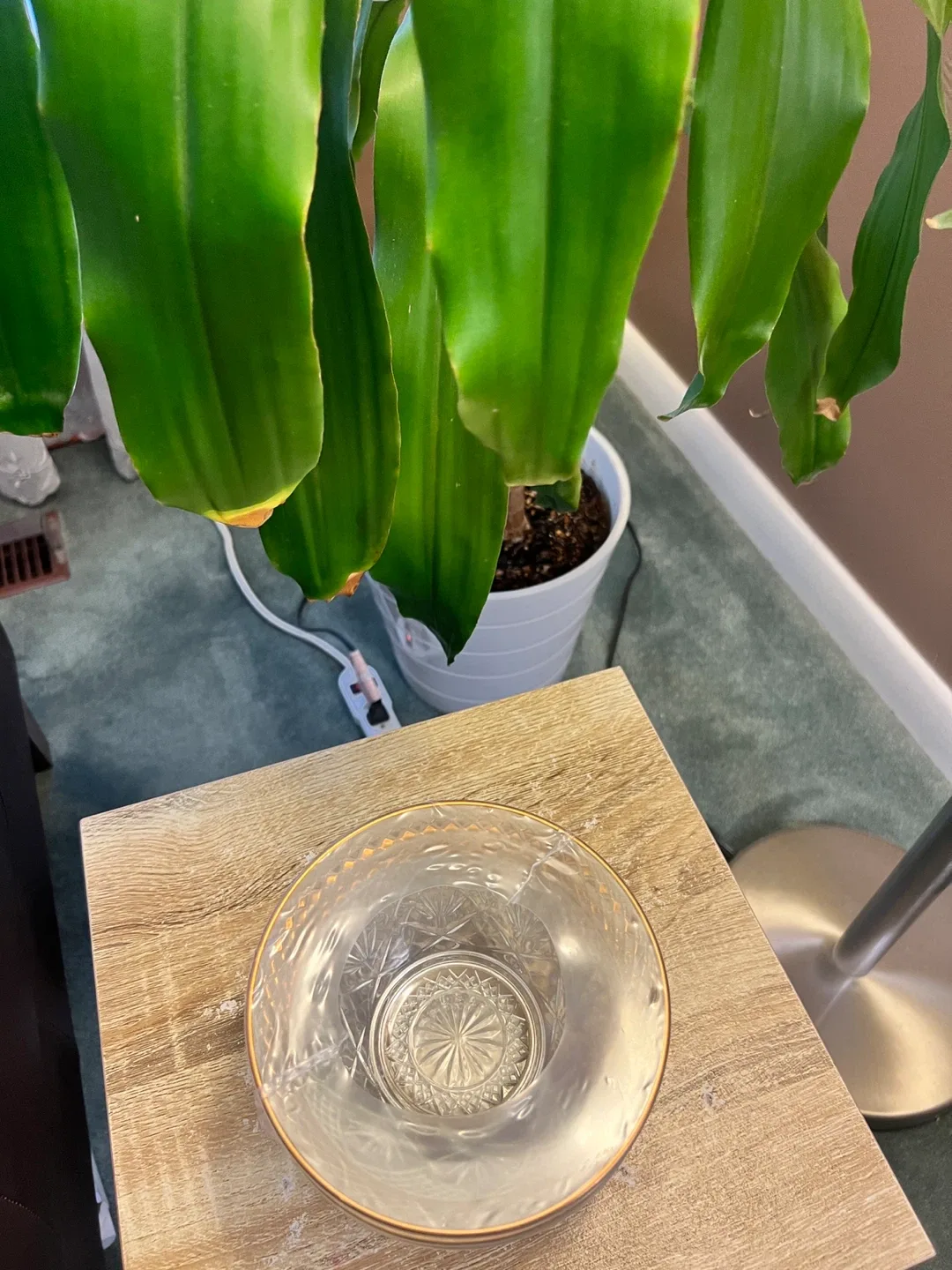 Luminarc Antique Gold Salad Bowls (4) image indicator(3)