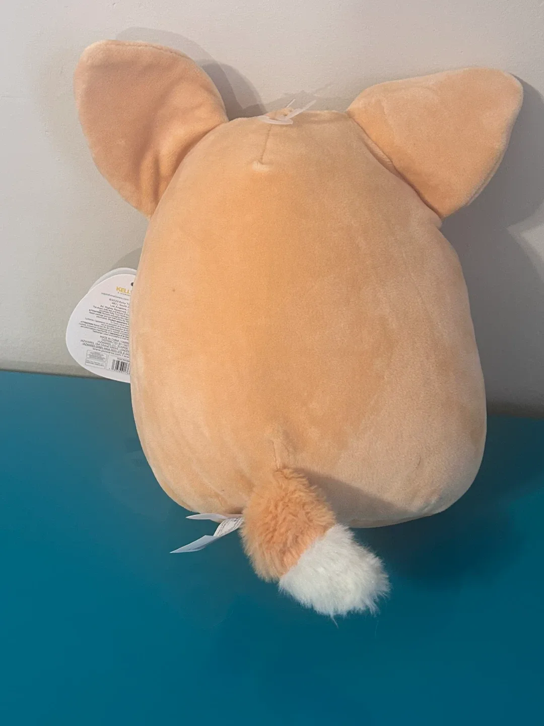 🦊 NEW Squishmallows “Katta” Desert Fox Plush 12” image indicator(5)