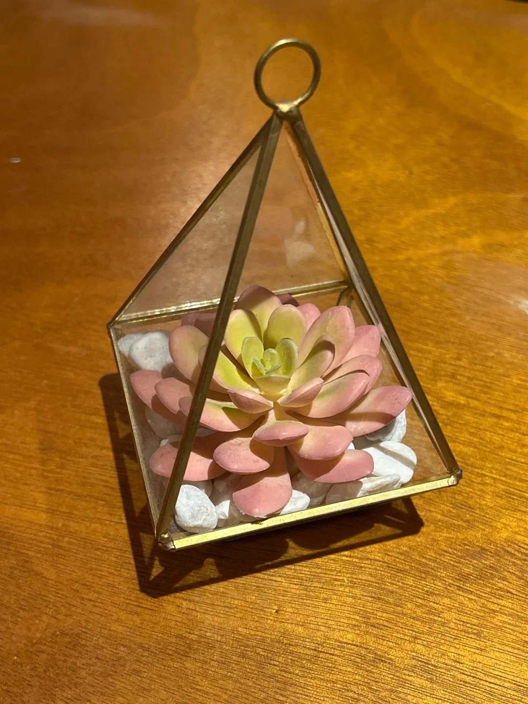 Succulent Terrarium