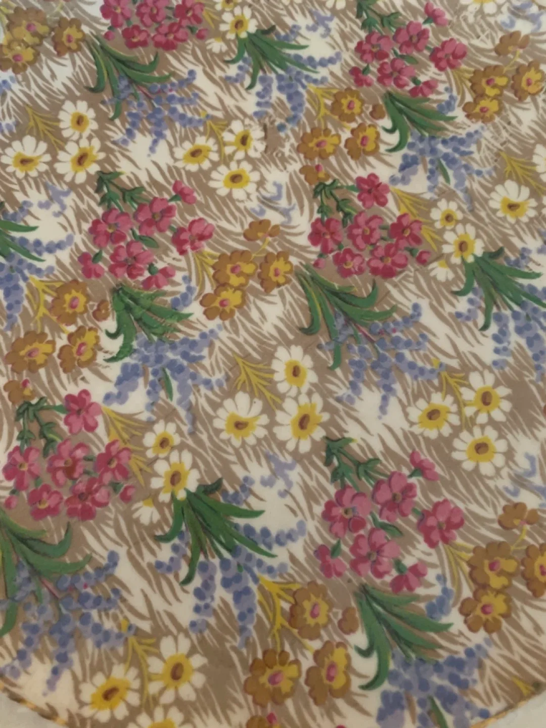 Royal Winton Grimwades Marguerite Plate image indicator(3)