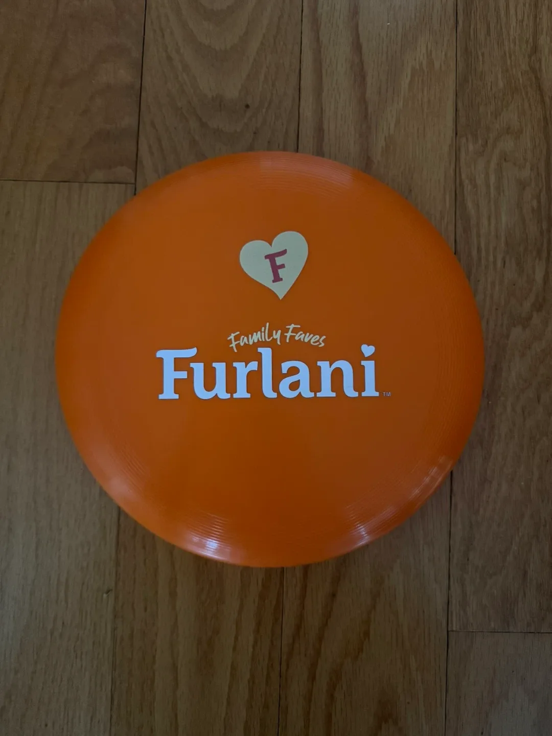 Furlani Family Faves Frisbee
