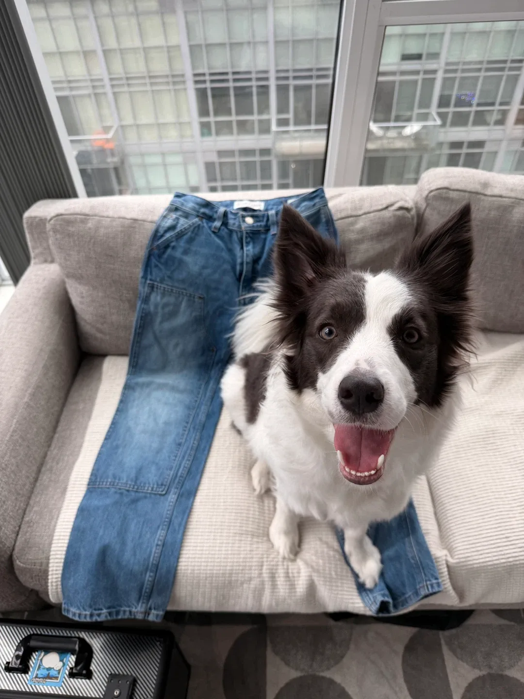 Aritzia Denim Forum Lou Low Rise Carpenter Jeans - Size 24