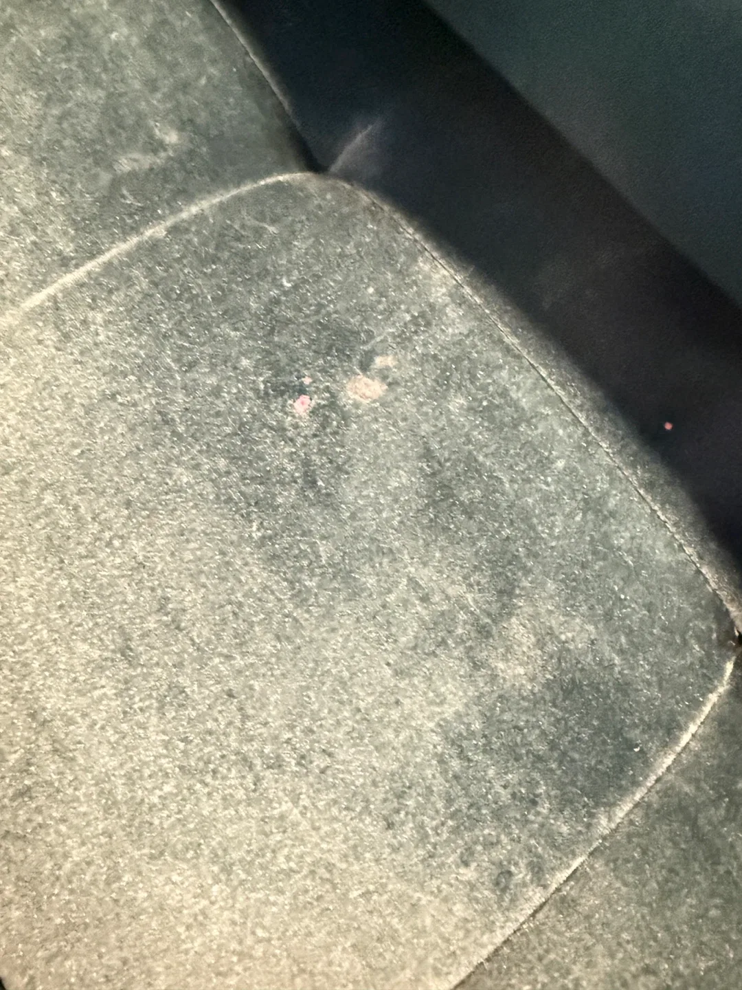 Sage Green Velvet Armchair image indicator(6)