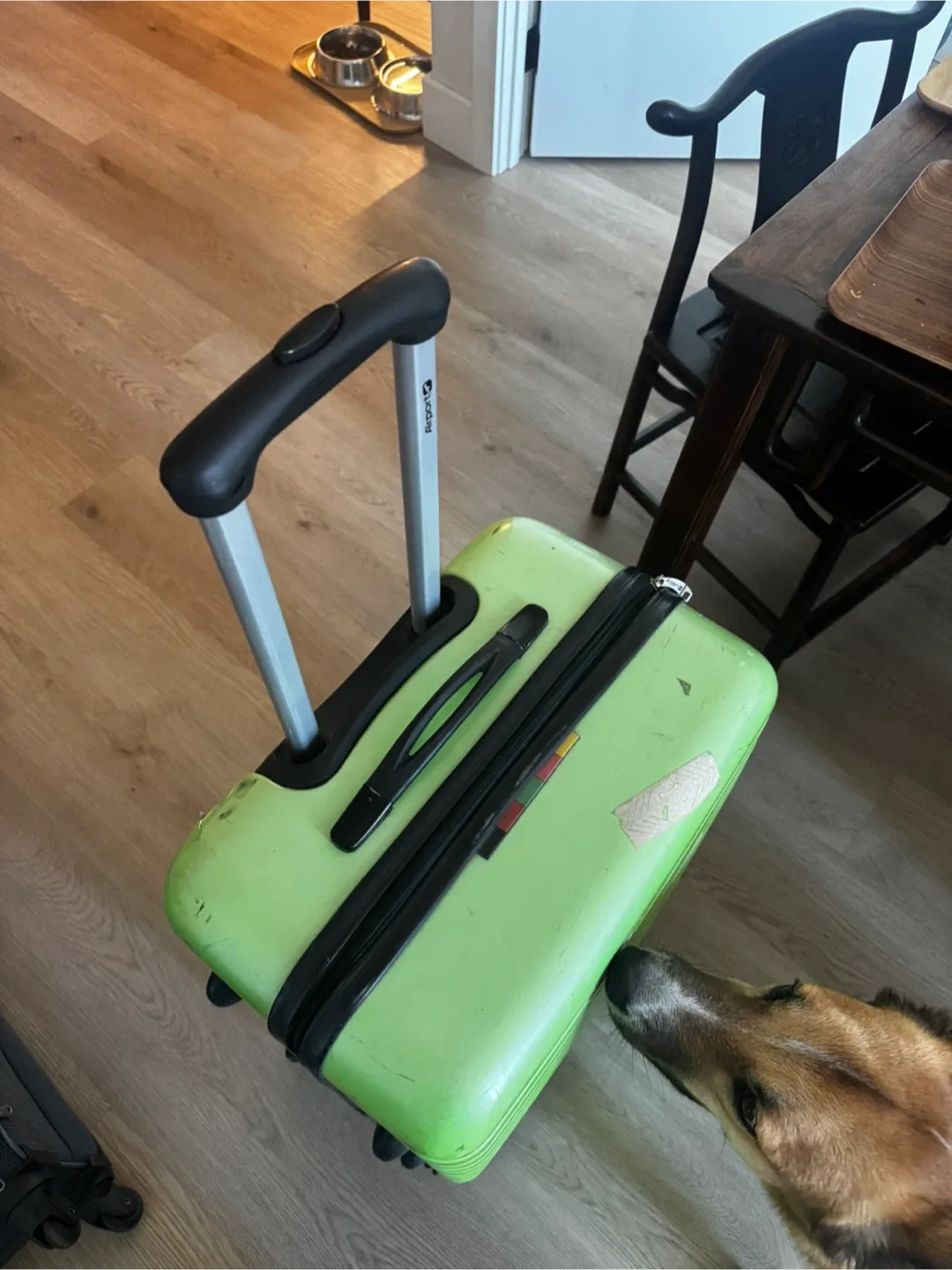 Airport Green Big Suitcase image indicator(3)