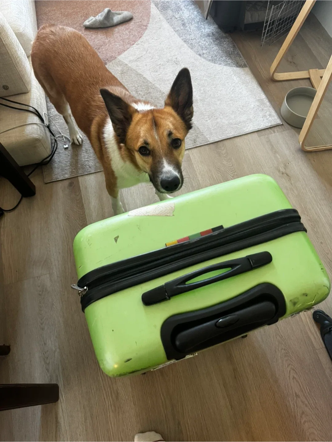 Airport Green Big Suitcase image indicator(2)