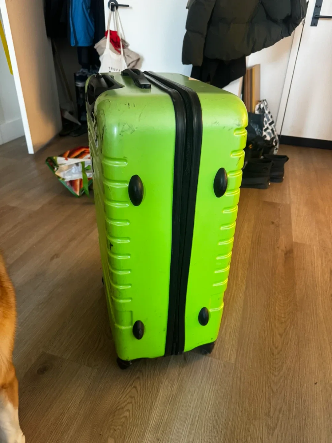 Airport Green Big Suitcase image indicator(7)