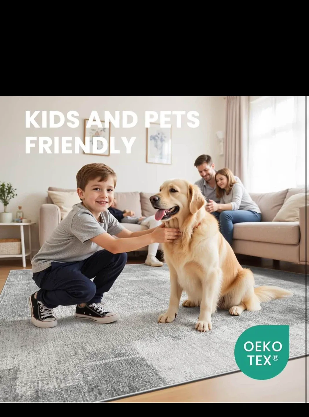 9x12 Area Rug Non-Slip Backing Washable,Stain Resistant, grey image indicator(3)