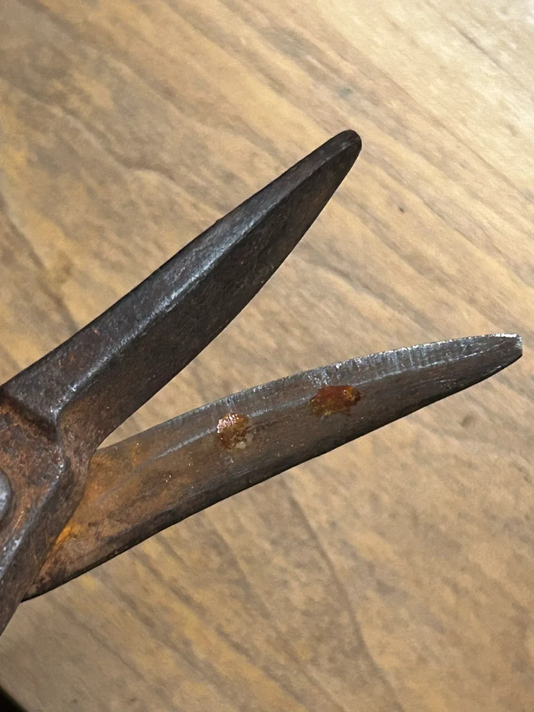 $7 Vintage Tin Snip Shear Cutters 10 Inch Forged Steel tool hand image indicator(3)