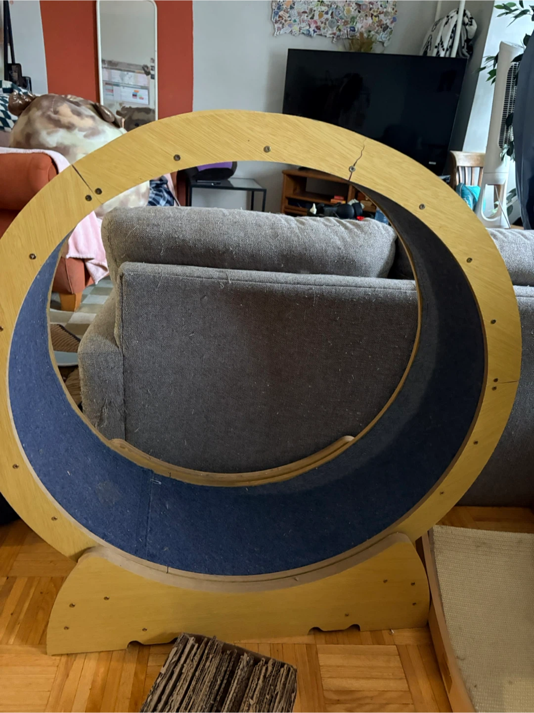Cat Exercise Wheel - photo 2