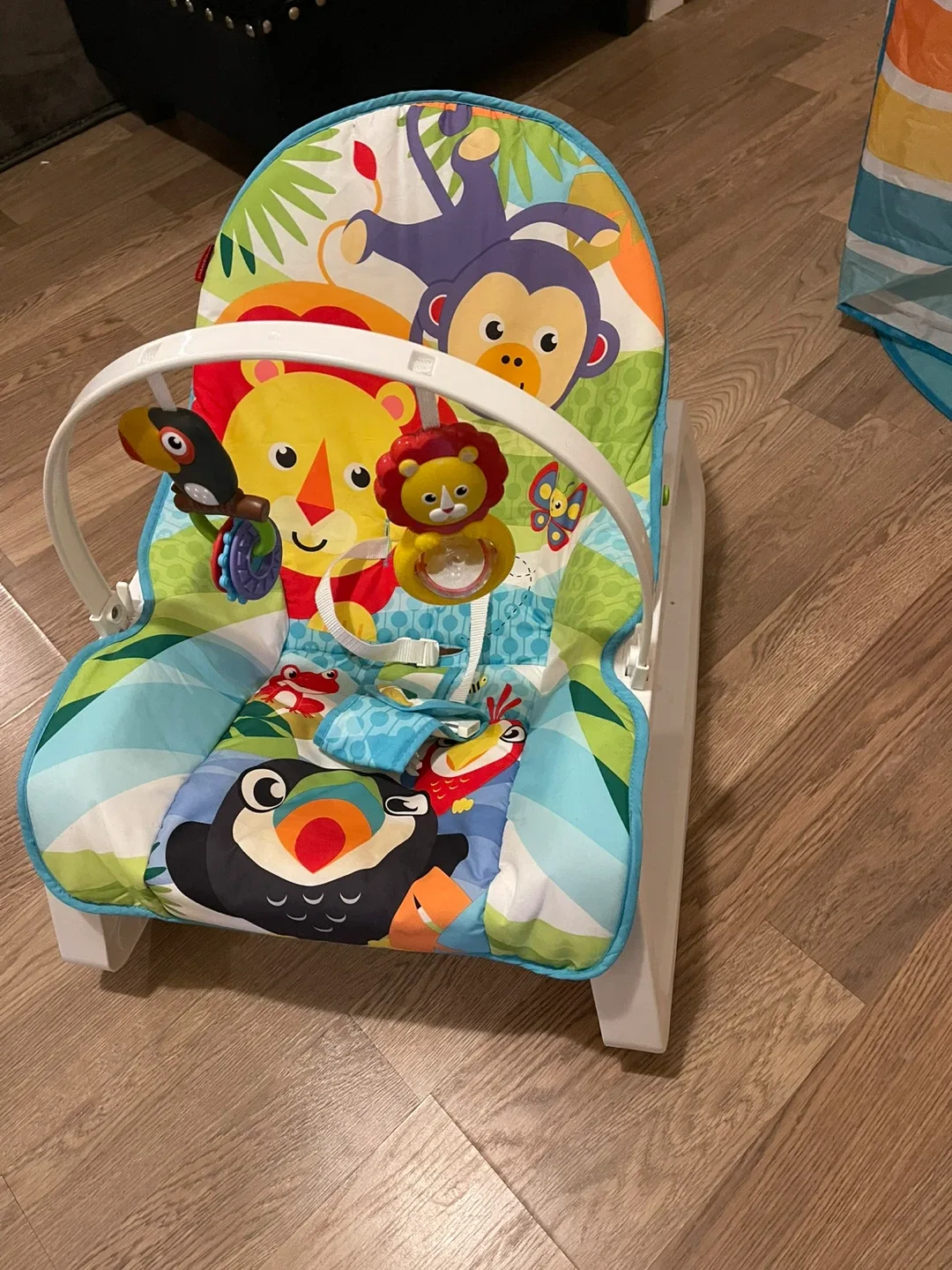 Fisher-Price Infant-to-Toddler Rocker