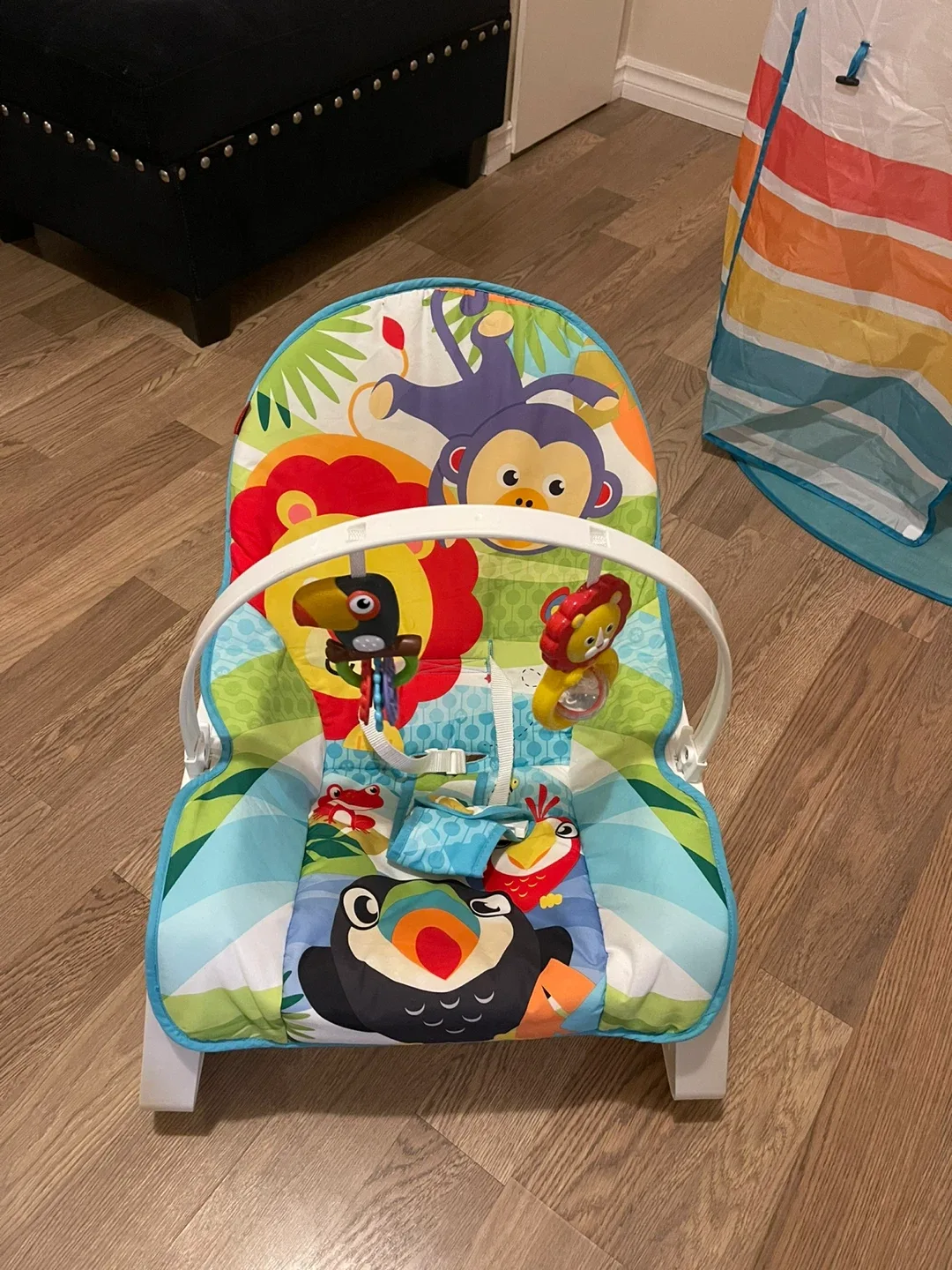 Fisher-Price Infant-to-Toddler Rocker image indicator(2)