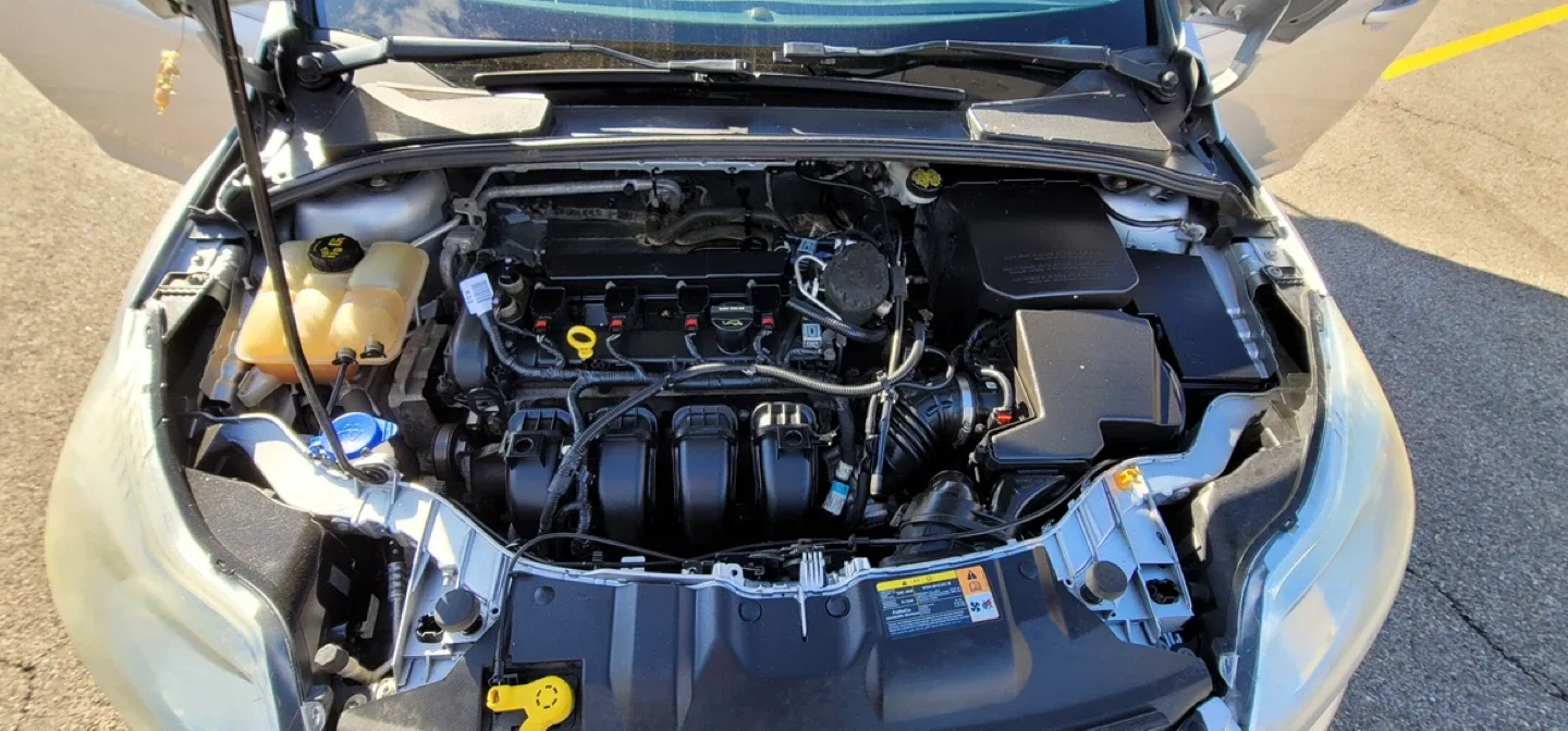 Ford focus image indicator(3)