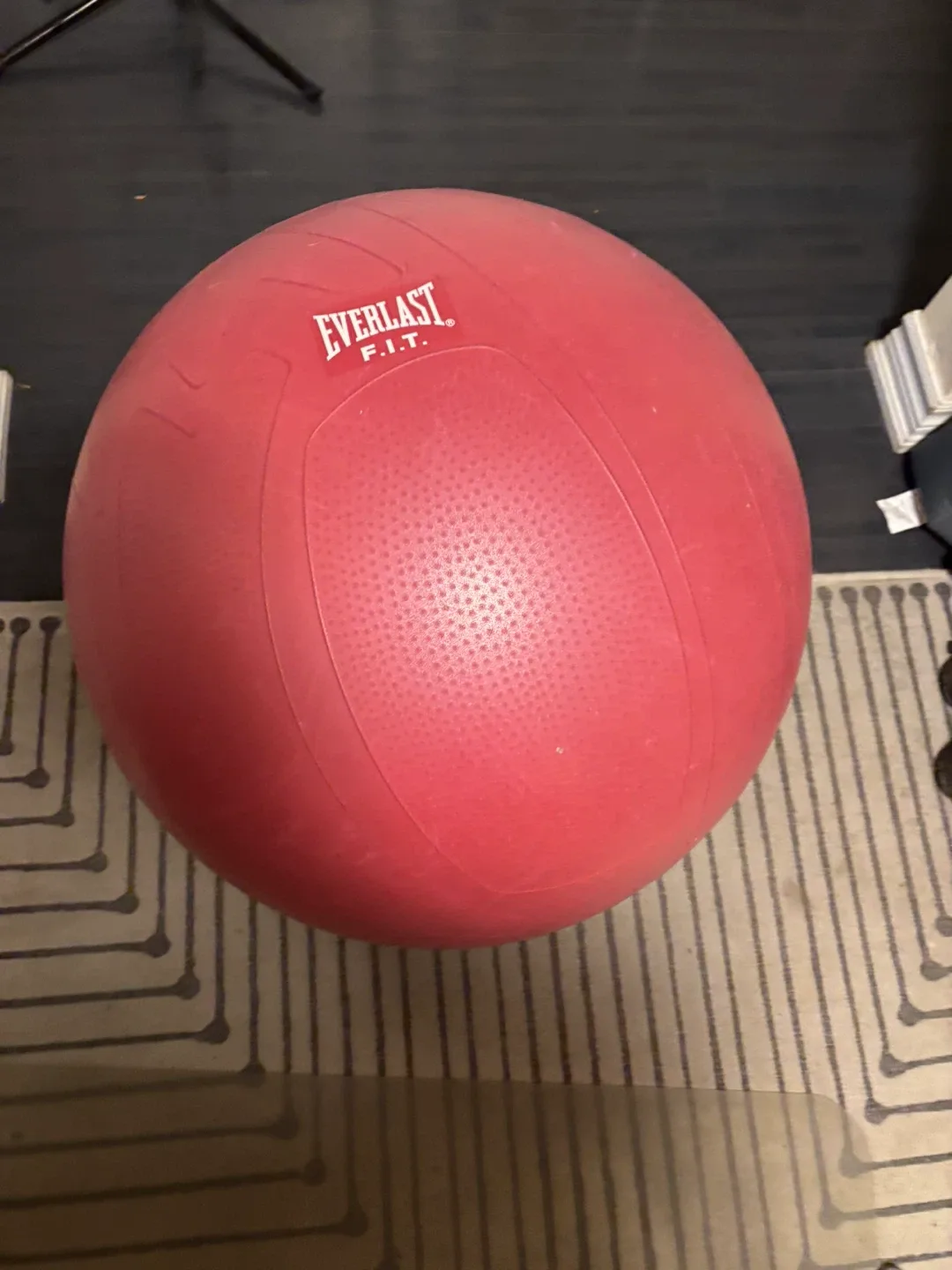 Everlast F.I.T. Medicine Ball