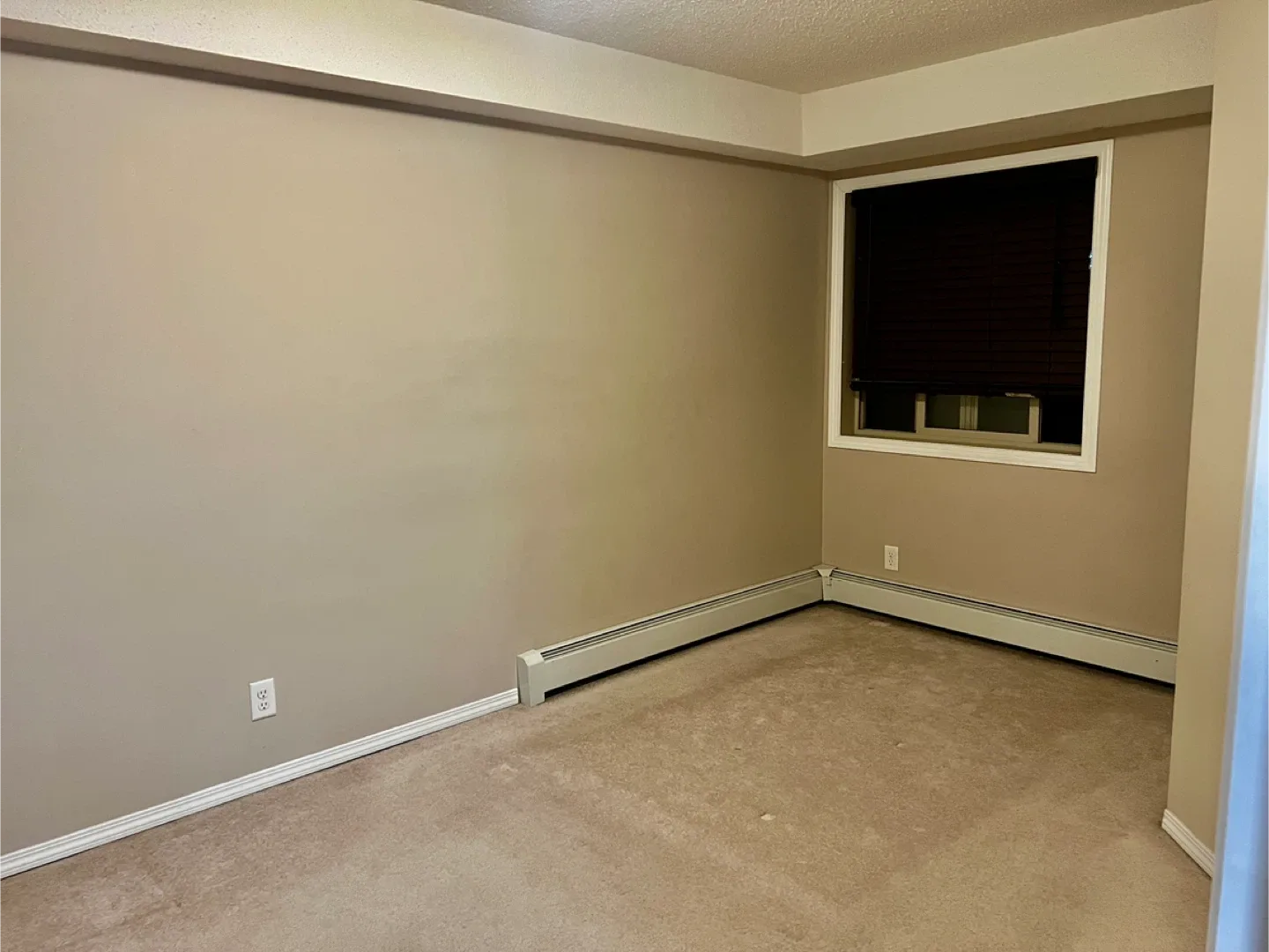 2 bed 1 bath condo  $1275 (11804 22ave sw) image indicator(5)