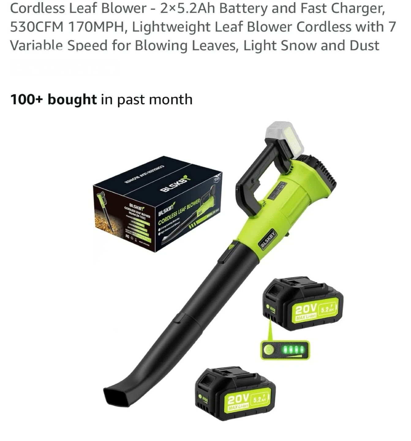 BLSKEY Cordless Leaf Blower - Like New!