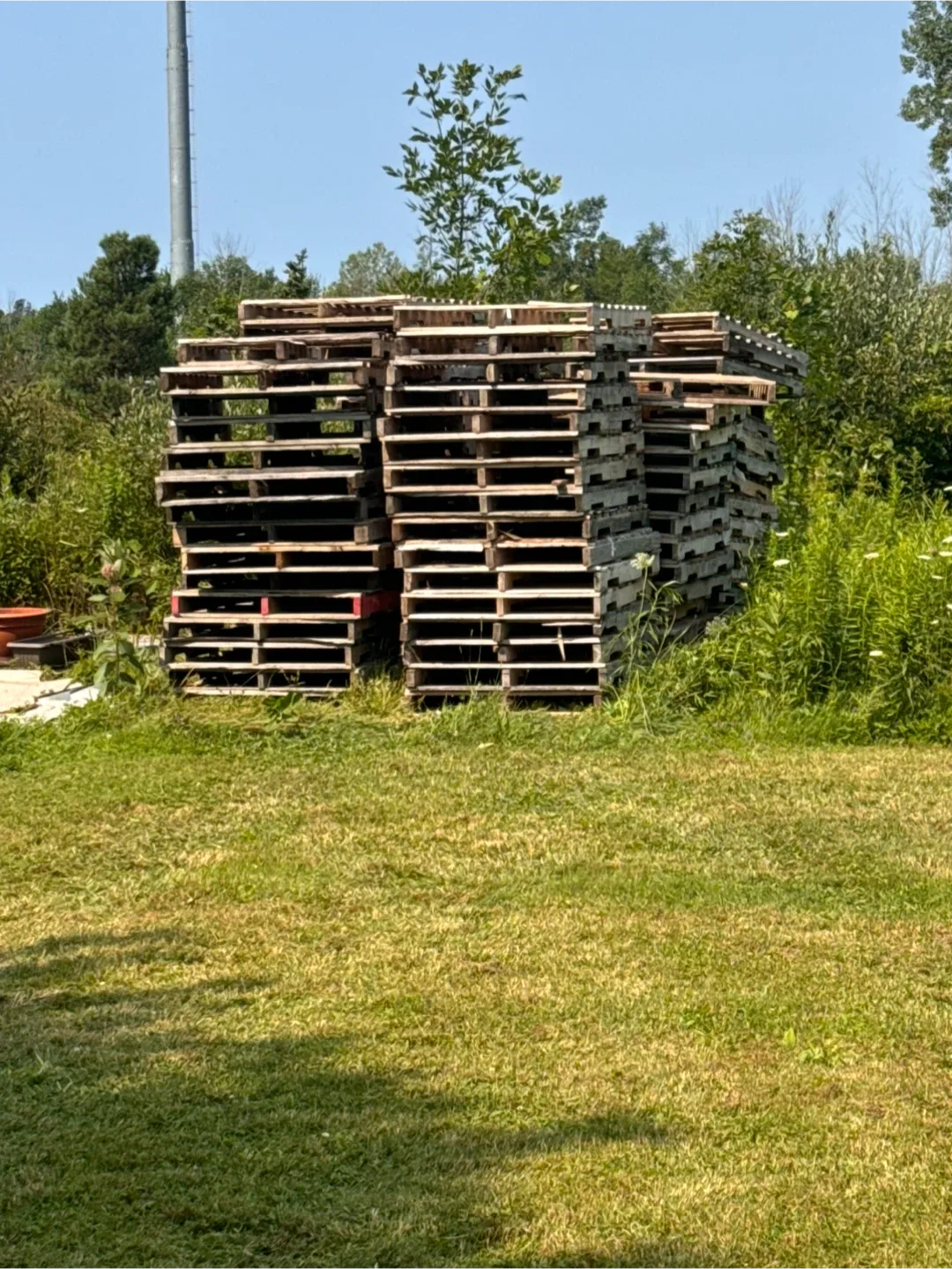 Free wood pallets