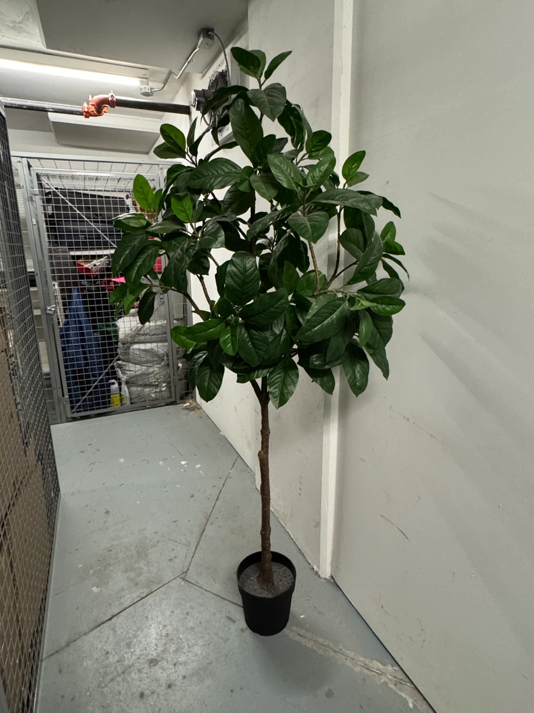 Artificial Tree in Black Pot