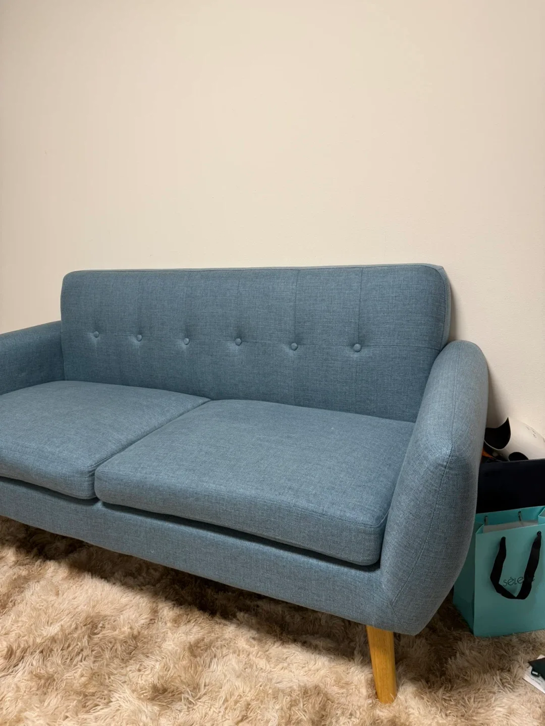 Blue Loveseat Sofa image indicator(5)