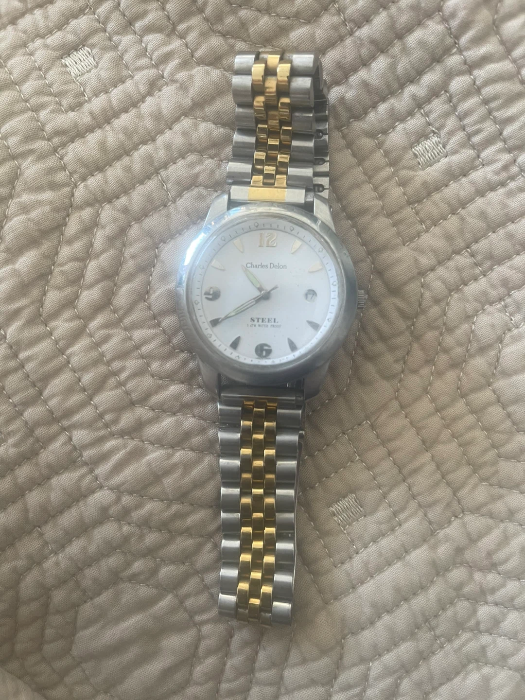 Charles Delon Steel Watch