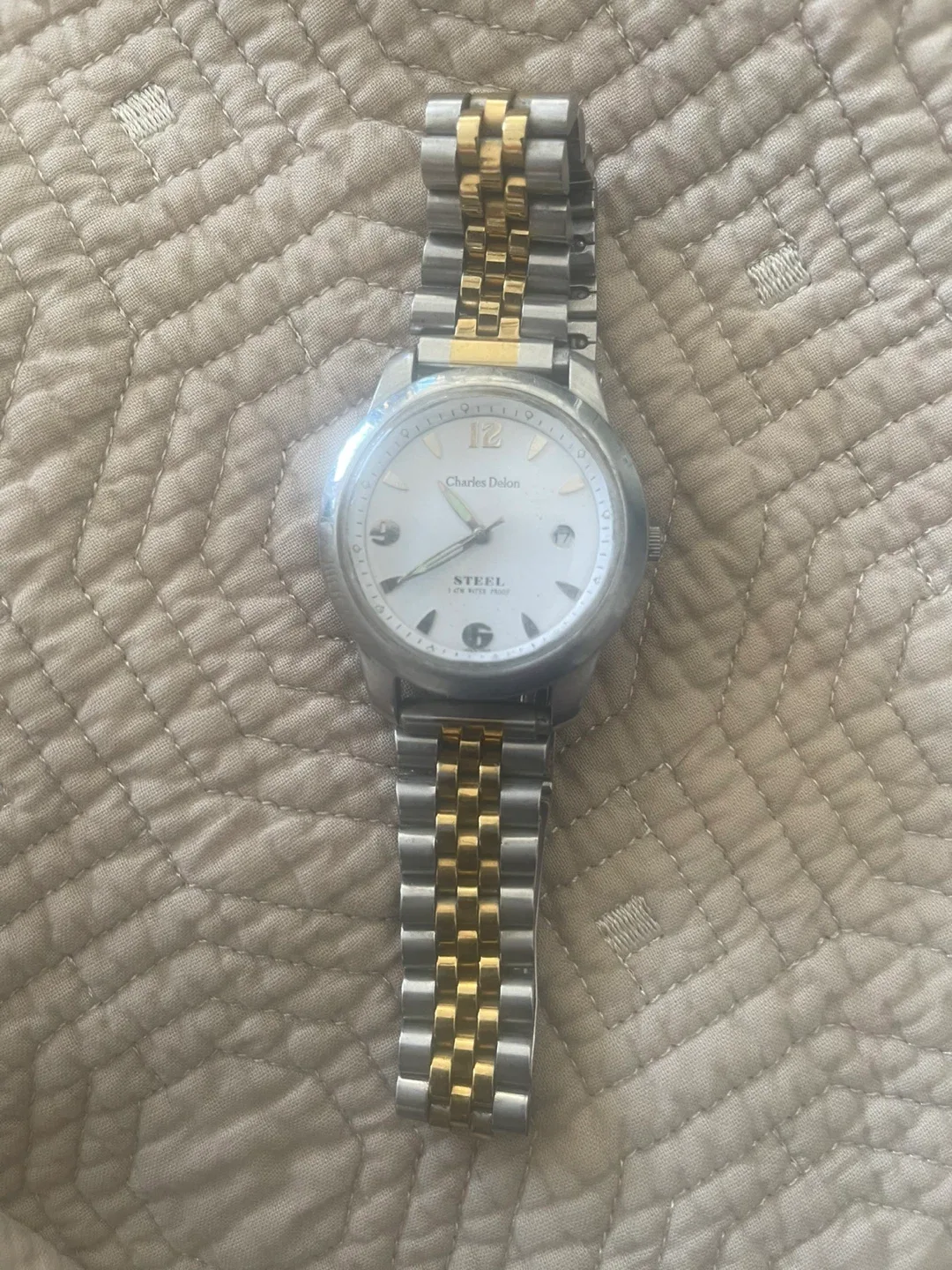 Charles Delon Steel Watch