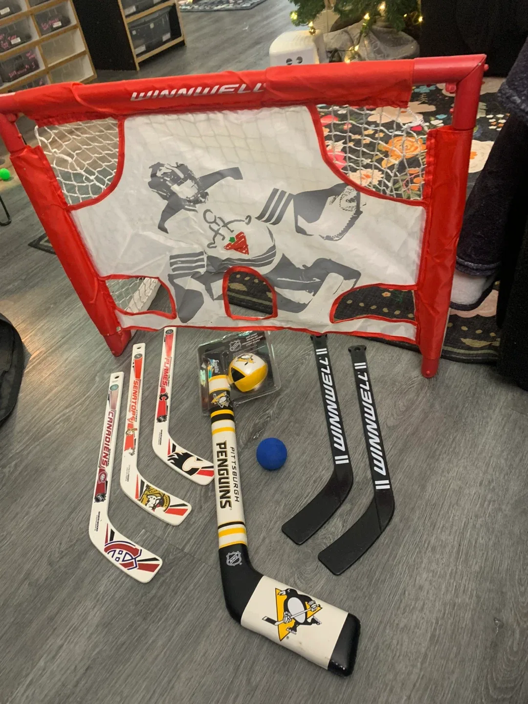 Winwell Hockey Net & Mini Hockey Sticks