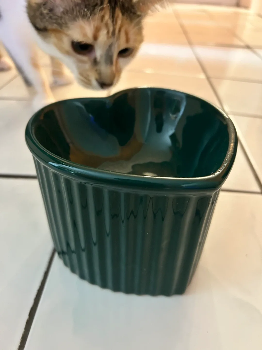 Pet bowl