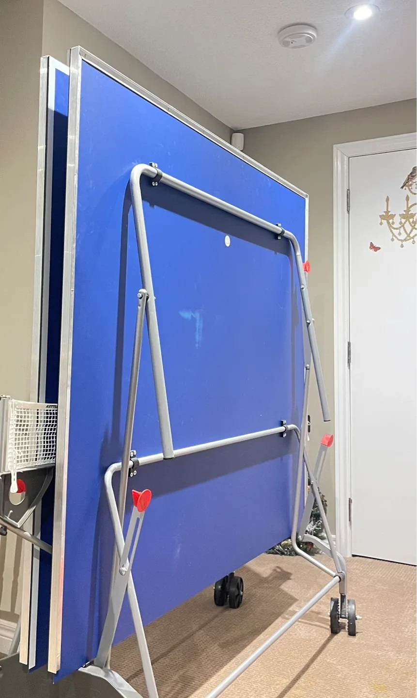 Blue Ping Pong Table image indicator(2)