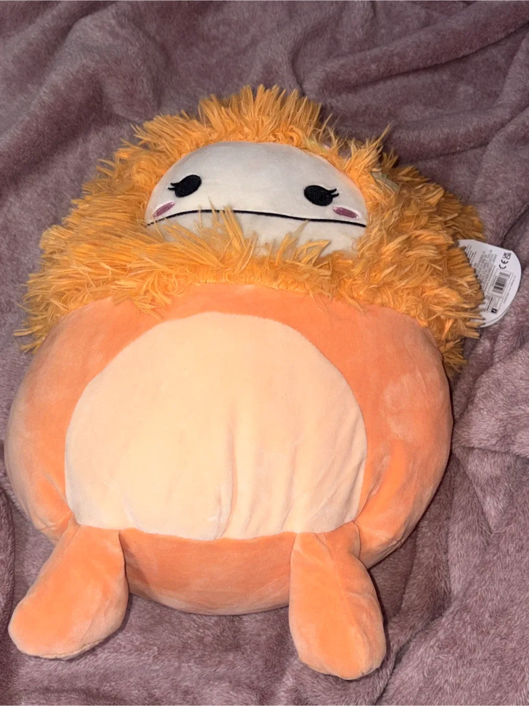 Squishmallows Shasta Plush Toy