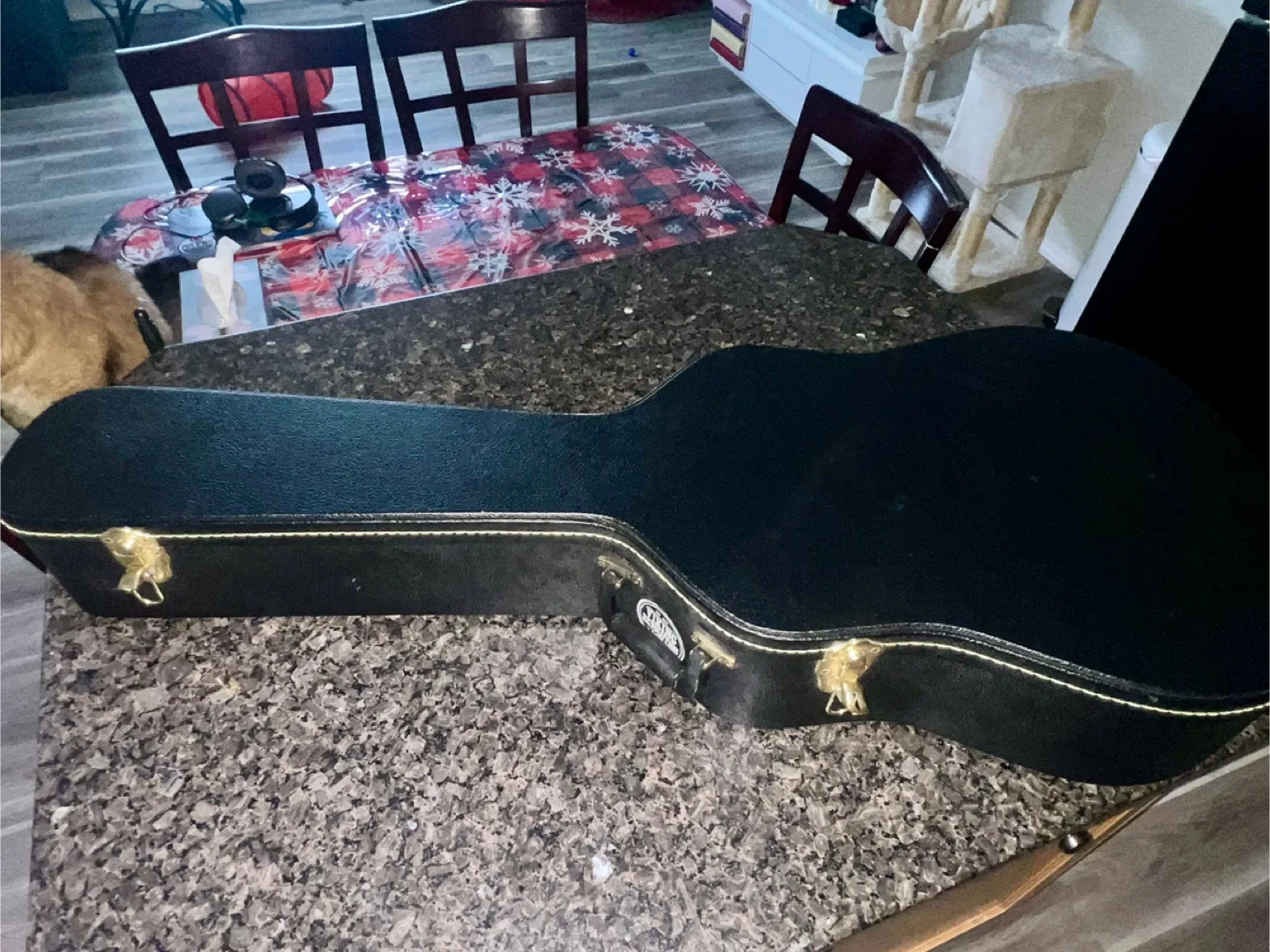 Epiphone Songmaker DR-100 Acoustic Guitar (Ebony Black) image indicator(10)