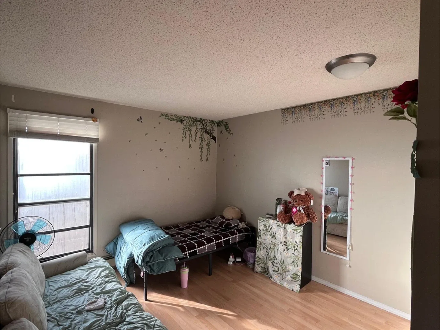 Private Room for rent